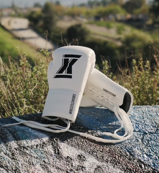 Wrestleworx Boxing Gloves